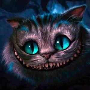 Meet your Posher, Allura